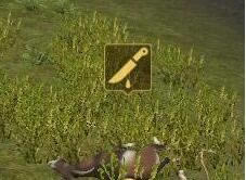 ��������ɼ��؈D