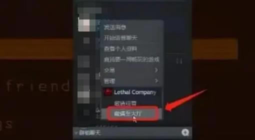 致命公司怎么联机4