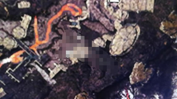 �����߿������W���湥��