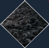 �����߂��f�o��W(xu��)��(x��)��ٶ��ơ����߂��f�o��W(xu��)��(x��)�����d v1.07 �����ⰲ�bδ���ܰ�-�_�����