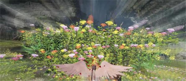 �o�p����3�K�O����񻯹���6