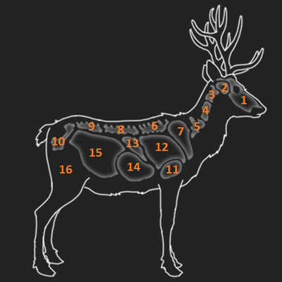 ����Ұ�Եĺ�������