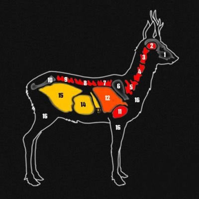 ����Ұ�Եĺ�������