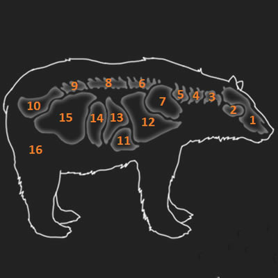 ����Ұ�Եĺ�������