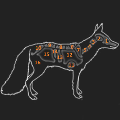 ����Ұ�Եĺ�������