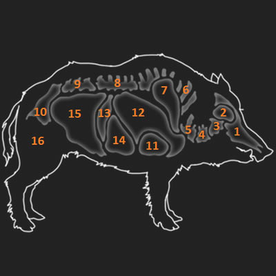 ����Ұ�Եĺ�������