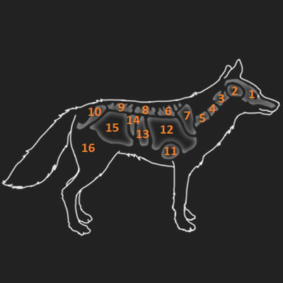 ����Ұ�Եĺ�������