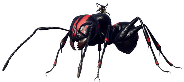 ��������l܊���F��PC�桿������l܊���F�����d �ⰲ�b�Gɫ���ČW����-�_�����