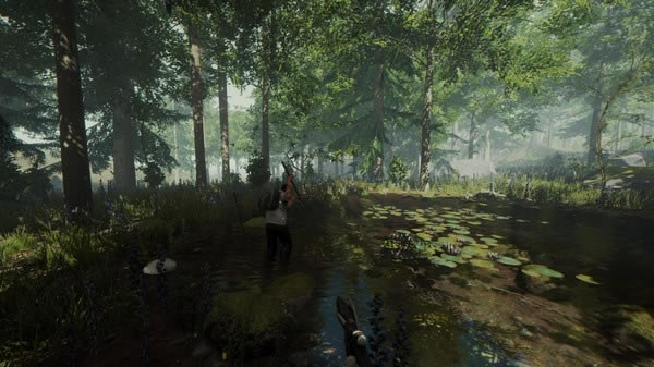 The Forest���İ�