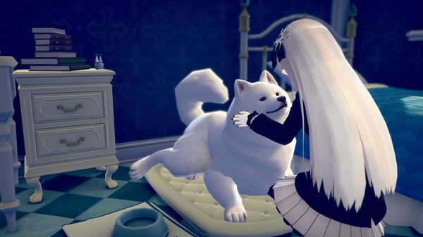 �Q��֮�����ČW����