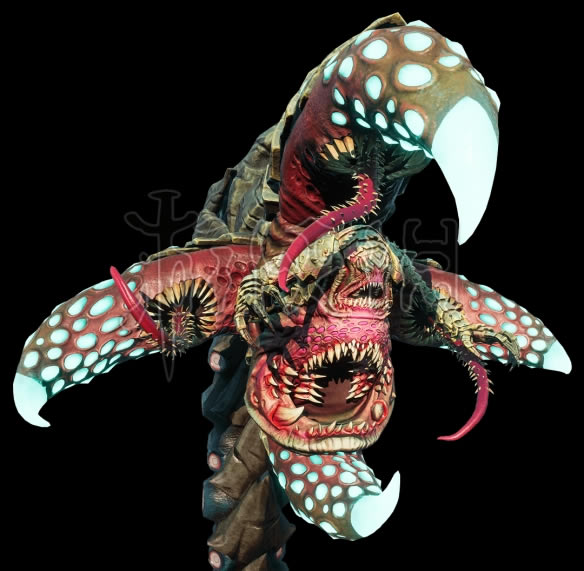 ����Ѫ�y3���ČW�����������B