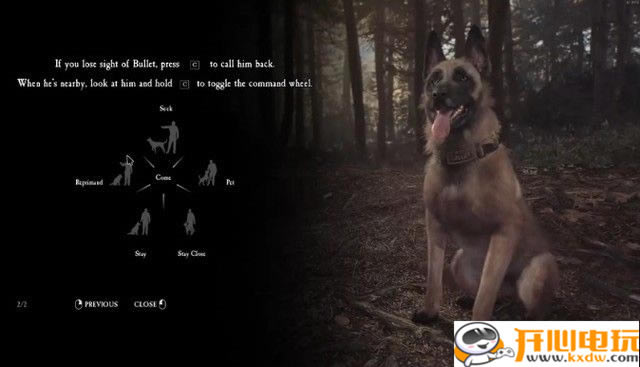 �����R��Ů���Α����d�����R��Ů�׌W����(Blair Witch) �������M��-�_�����