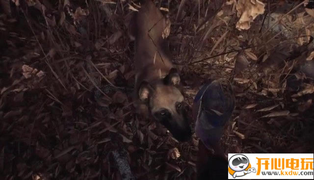 �����R��Ů���Α����d�����R��Ů�׌W����(Blair Witch) �������M��-�_�����