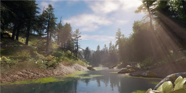 �����Ķ���2��D���ܲ�������