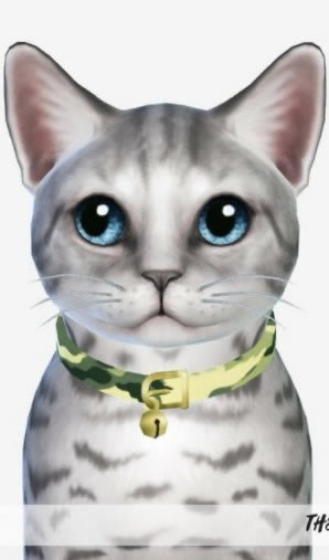 ģ������4è��ȦMOD_ģ������4�ɰ���è��ȦMOD v1.0 TheLittleCreator��-���ĵ���