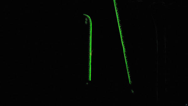 ����֮·2ӫ��󿳵�MOD����_����֮·2ӫ��󿳵�MOD ��ɫ��Ѱ�-���ĵ���