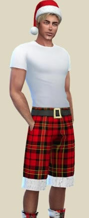 ģ������4ʥ�����˶̿�MOD_ģ������4��ʿʥ�����˶̿�MOD v1.0 Birba32��-���ĵ���