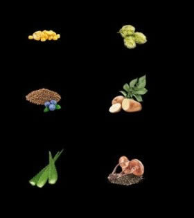 ����ɱ�ͳɱ�����mod_����ɱ�ͳɱ�����MOD���� ��Ѱ�-���ĵ���