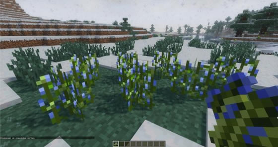 �ҵ��������ʵ������mod����_�ҵ��������ʵ������mod������ʽ�� v1.0 ���İ�-���ĵ���