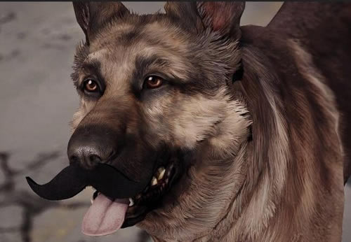 ����4ɽ�����MOD_����4ɽ��������װMOD ��ɫ��-���ĵ���