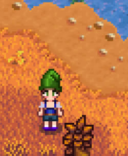 ��¶�����������ﴫ˵ñ��MOD����_��¶�����������ﴫ˵ñ��MOD ���⹤����-���ĵ���