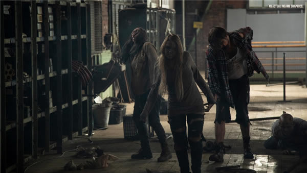 �������쎟��ʬ����W�����Α��B