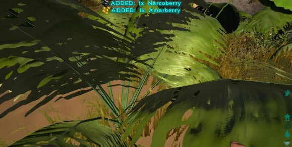 �����M������W���湥��