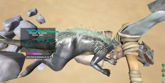 �����M������W���湥��