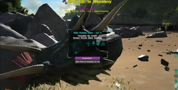 �����M������W���湥��