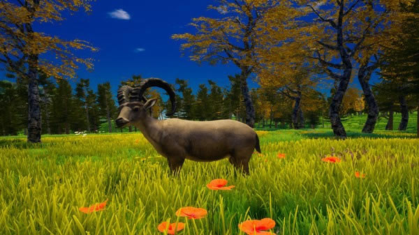 �ҵĺ��u���İ�؈D