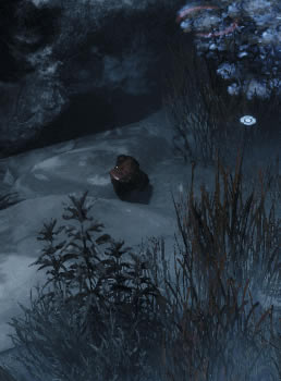 ����ʯͷһ������ѧϰ�桿��ʯͷһ��������Ϸ���� ����ѧϰ��-���ĵ���