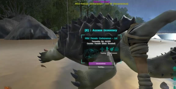 ���۽�������ѧϰ�湥��