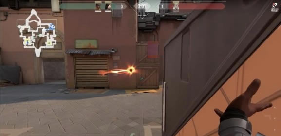 Valorant��ɫ����