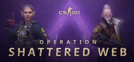 CSGO����