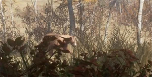 ���˻�Ұ���ٻ�ѧϰ����������ָ��3