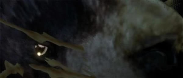 ���˻�Ұ���ٻ�ѧϰ����������ָ��4