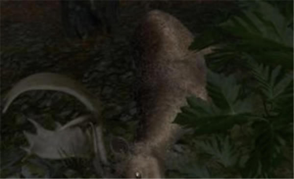 ���˻�Ұ���ٻ�ѧϰ����������ָ��5