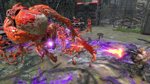 ���궷����������ѧϰ�桿�궷�������������İ����� ���ѧϰ��-���ĵ���