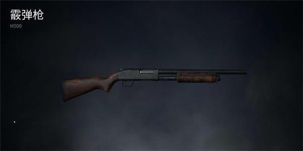 ��ʬ�����ս��ϷȫǹеЧ������