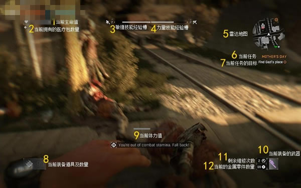 �����ŵĹ�â��ͽѧϰ�桿���ŵĹ�â��ͽ��ǿ������ ����ѧϰ��-���ĵ���