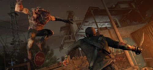 �����ŵĹ�â���İ����ء����ŵĹ�â���� ѧϰ�棨������ͽDLC��-���ĵ���