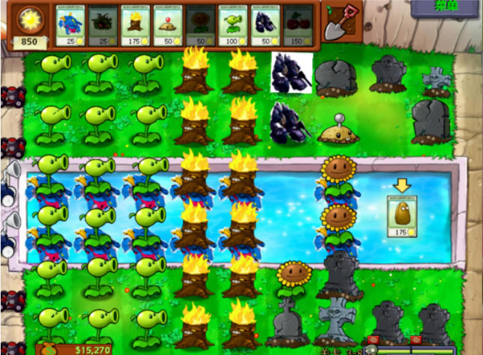 ֲսʬ95ѧϰ桿ֲսʬ95ѧϰ ڹ޸İ-ĵ