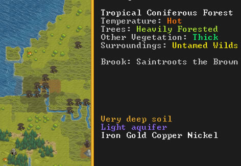 矮人要塞破解版新手指南2