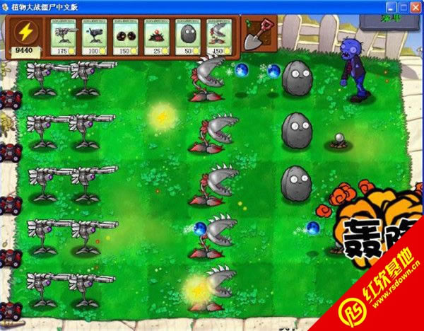 ֲ����ʬ���i�����d|ֲ����ʬ���i���Α�վ