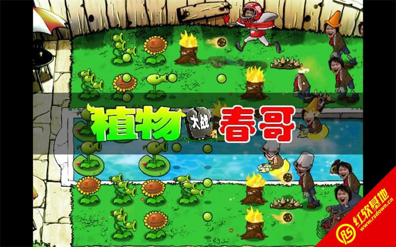 ֲ����ʬ��������d|ֲ����ʬ������Α�վ