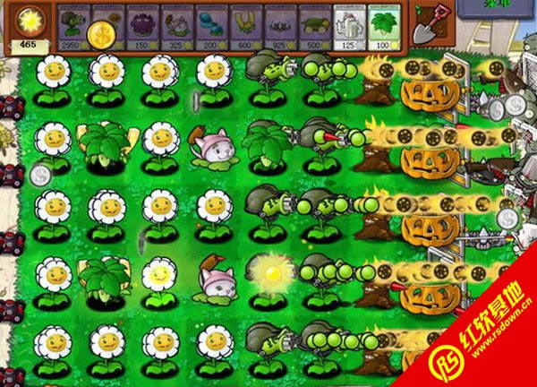 ֲ����(zh��n)��ʬ�o�������d|ֲ����(zh��n)��ʬ�o�����Α�վ