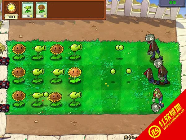 ֲ����ʬ�ܲق�ֲ����ʬ2010��Ȱ��Α�վ