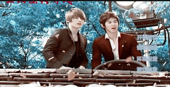 ����̫֮�(y��ng)�՘������Α�վ