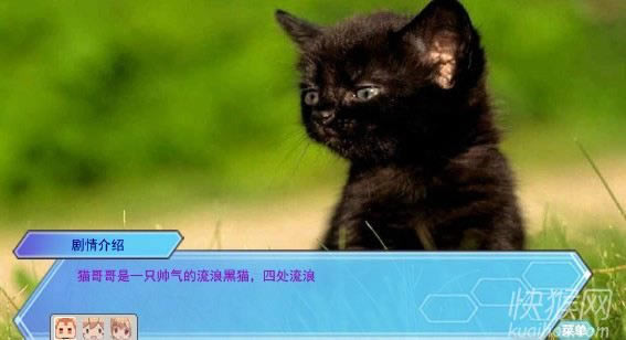 èϷ