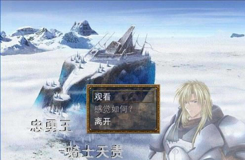 ��������ʿ������Ϸ